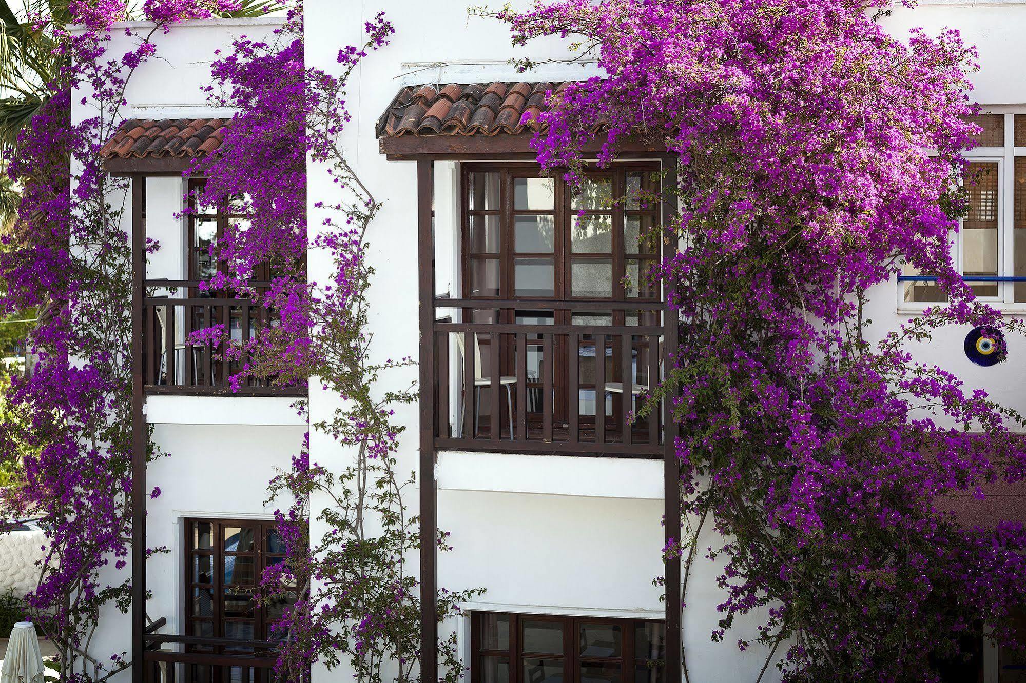 Orion Hotel Bitez Exterior foto